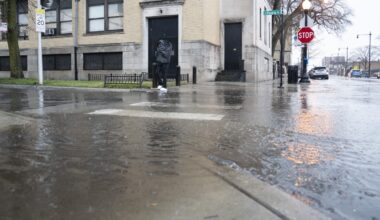 Curbing wetland protection will water down Chicago area's natural safety system