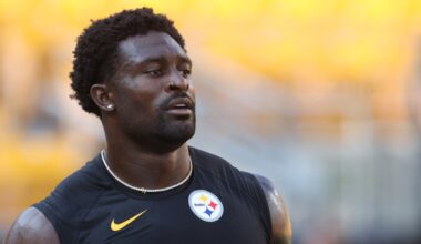 Report: DK Metcalf previously reported same Lions fan to Seahawks security in 2024