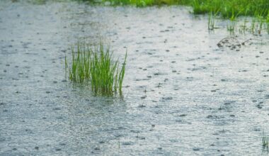 Representational picture. Image Source: Emre Ayata/Canva