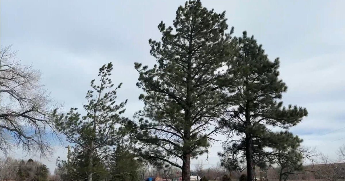 Colorado wind gusts surge up over 100 mph again to end the week