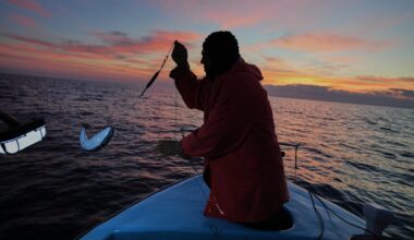 Cypriot fishermen battle invasive lionfish and turn them into a tavern delicacy