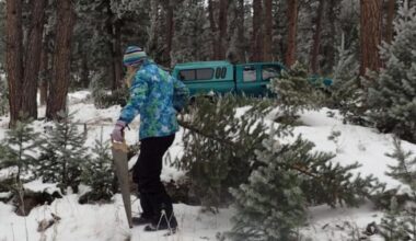 Interior Department Rolls Out One Dollar, One Tree Holiday Savings on Public Lands