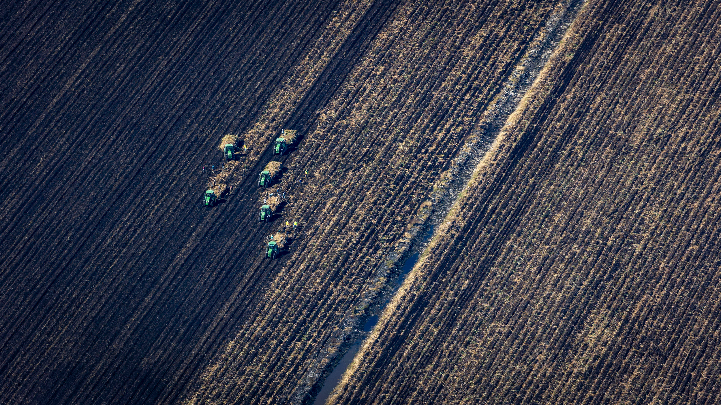 The Everglades Agricultural Area is situated south of Lake Okeechobee, where the river of grass once flowed. The region now raises vegetables, rice and sugarcane. Credit: Jose Iglesias/Miami Herald