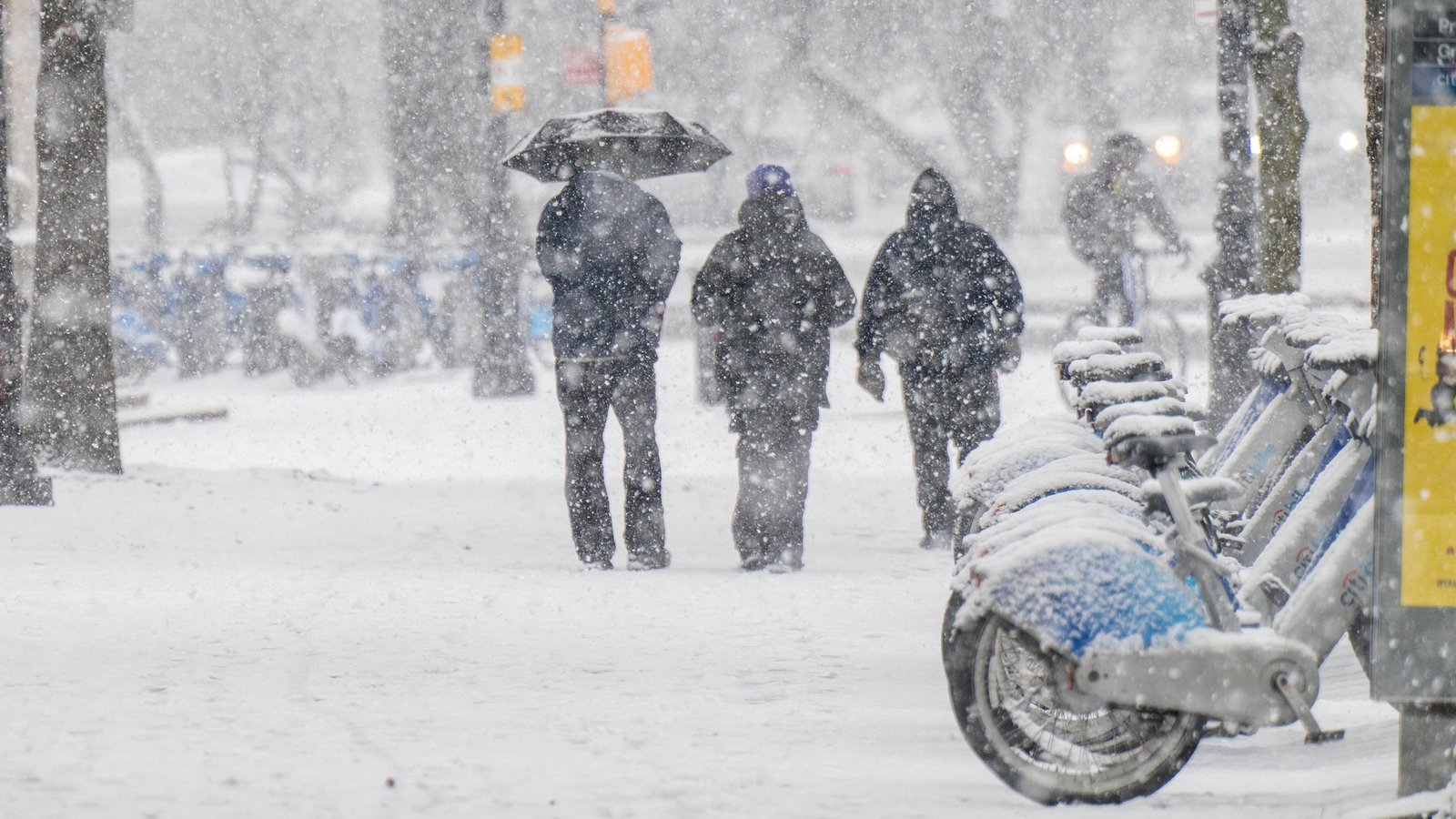 Winter storm, sub-freezing cold descend on US