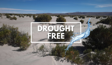 Rainfall has erased drought from California. What does that mean for the Coachella Valley's aquifer?