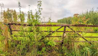 Yahoo lifestyle home