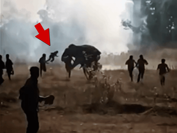 011926_killer_elephant_primary