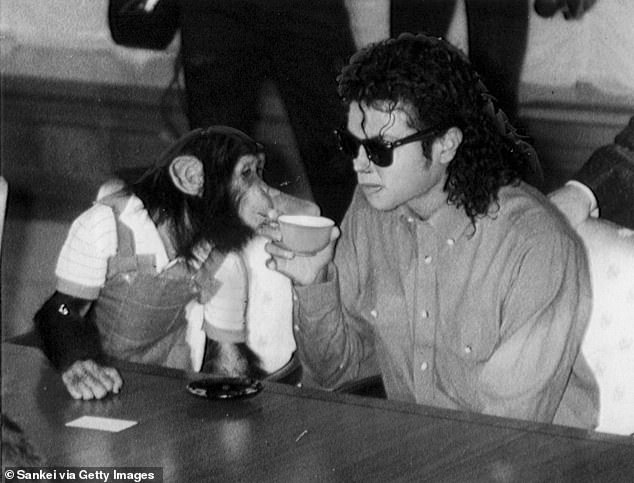 Bubbles has been living at the center since 2005 and the Michael Jackson Estate pays for his care