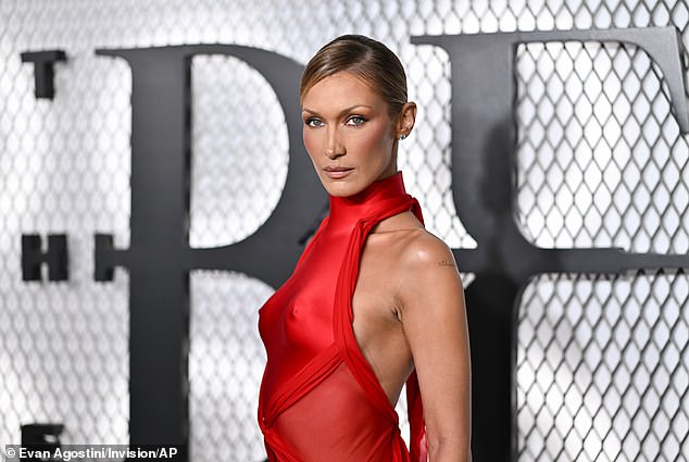 Her cheeks looked perfectly sculpted and she accessorized with dainty silver jewelry