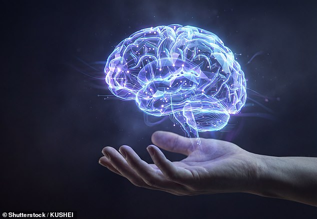 Our memories may be an illusion arising from random fluctuations in the universe, according to scientists (stock image)