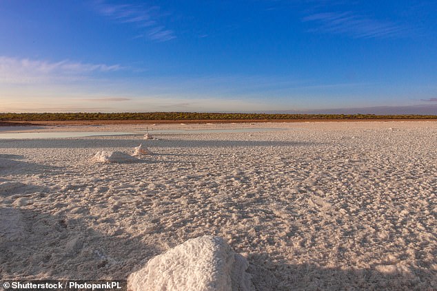Places in outback Australia are experiencing temperatures of nearly 50C