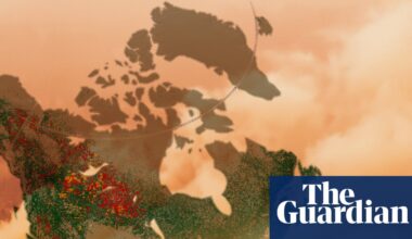 Mapped: how the world is losing its forests to wildfires | Wildfires