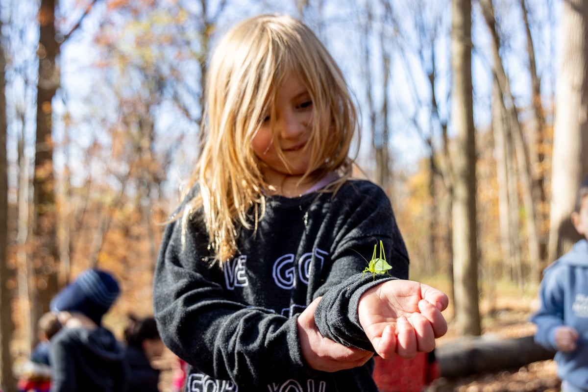 A Nature Preschool student holds a katydid on her arm in the woods