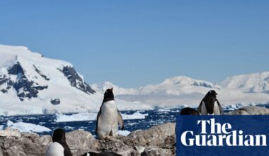 Antarctic penguins have radically shifted their breeding season – seemingly in response to climate change | Antarctica