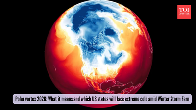 Polar vortex 2026: What it means and which US states will face extreme cold amid Winter Storm Fern