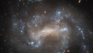 Galaxy UGC 5460 in Ursa Major was host to the supernova SN 2022esa (Credit : ESA/Hubble &amp; NASA)