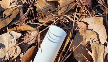 Father of missing Alabama 4-year-old charged with chemical endangerment of child