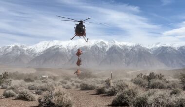 Agency to conduct helicopter captures of deer, elk, wolves in northern California