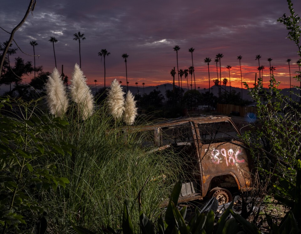 A old, rusted van surrounded by overgrown weeds and plants against a brilliant sunset.