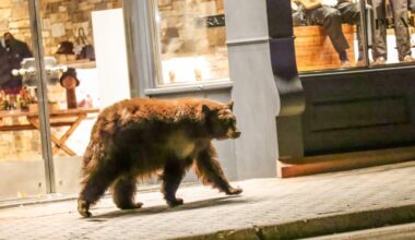 PHOTOS: A photographer’s favorite pictures from a memorable 2025