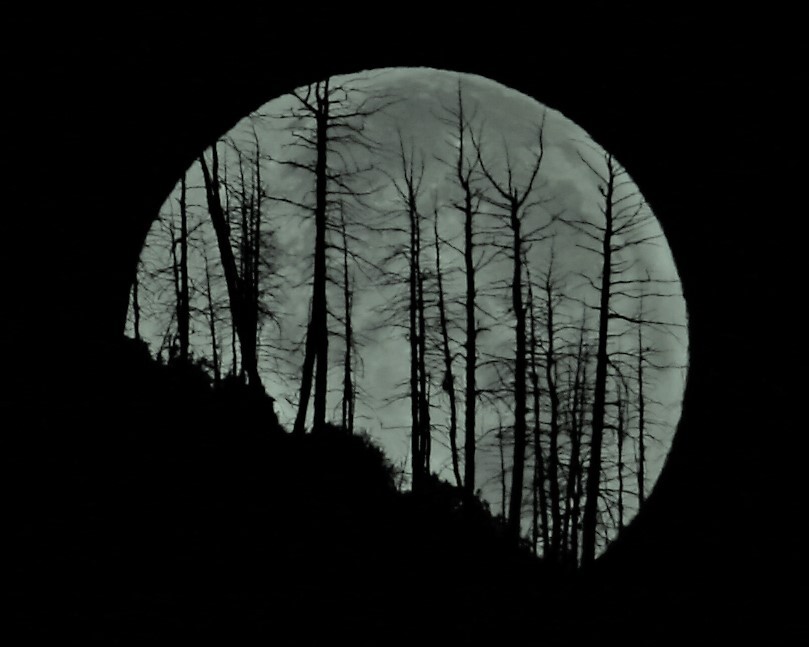 phree phlight photo.jpg