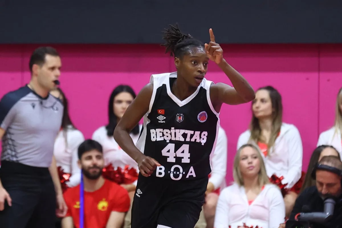 Sun Around the World: December Update