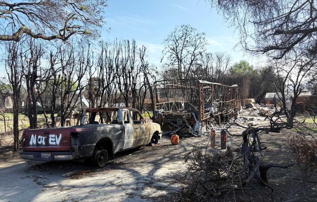 Ember-driven wildfires can leave a patchwork of destruction behind. In Altadena, some buildings and vegetation were left intact, while others were destroyed. 