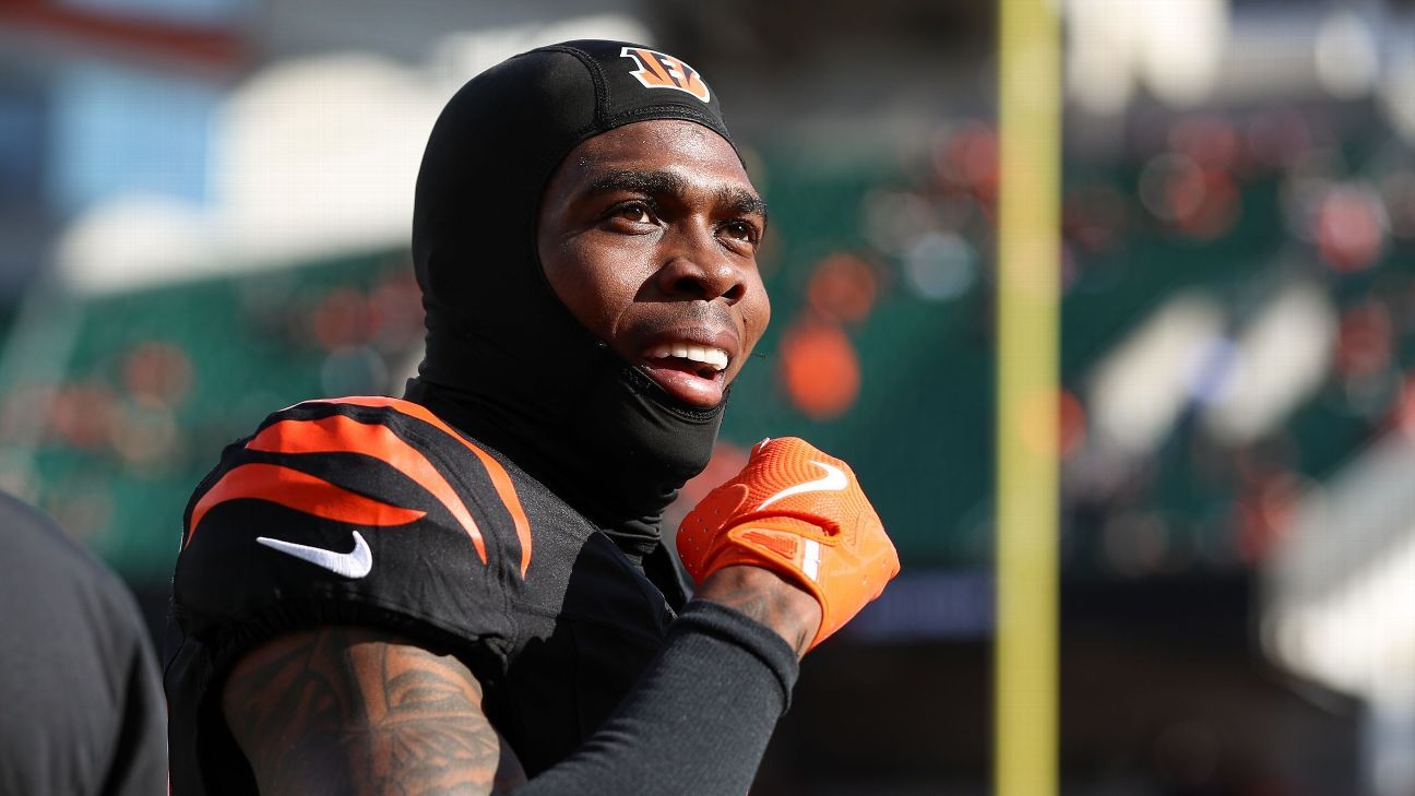 Bengals' Cam Taylor-Britt sentenced for driving incident