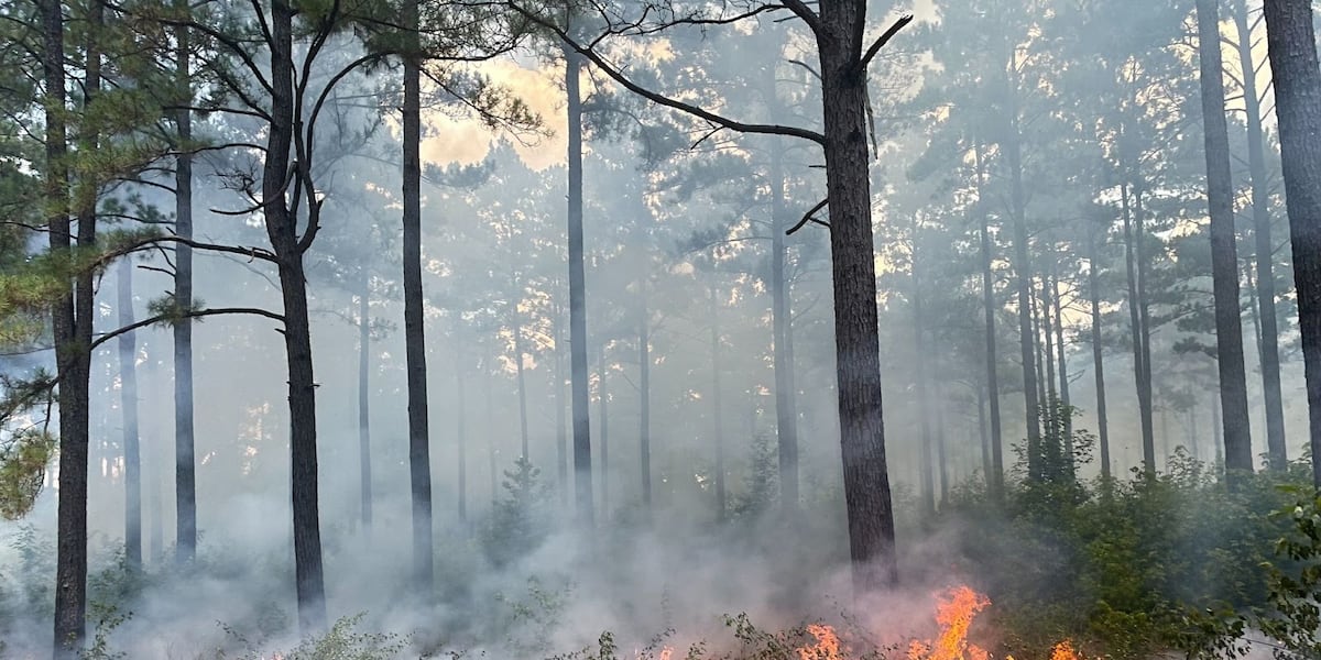 AGFC offering landowners $20,000 for wildlife habitat enhancement