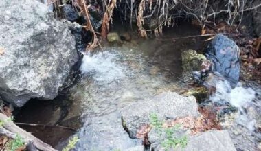 Utah wildlife experts work to protect, propagate Bonneville cutthroat trout