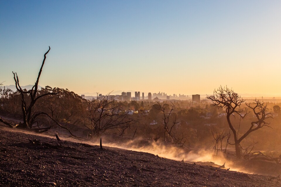 A layer of white smoke rises from a smoldering hillside during the daytime. A cluster of tall office buildings are pictured in the distance.