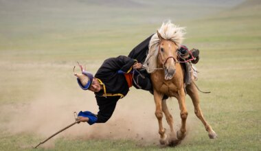 Ann Westling Receives Photo of the Year Award by Nevada County Camera Club