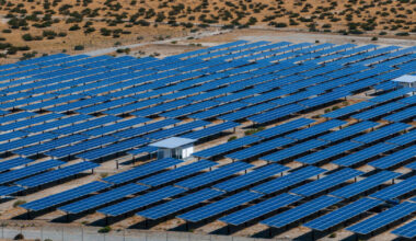 How Trump’s anti-renewables campaign threatens the power supply and economic growth • Table.Briefings