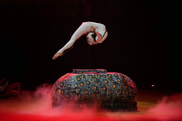 Acrobats from Cirque du Soleil rehearse for a show called "Ovo" at the Royal Albert Hall, in London, Thursday, Jan. 8, 2026. (AP Photo/Kin Cheung)