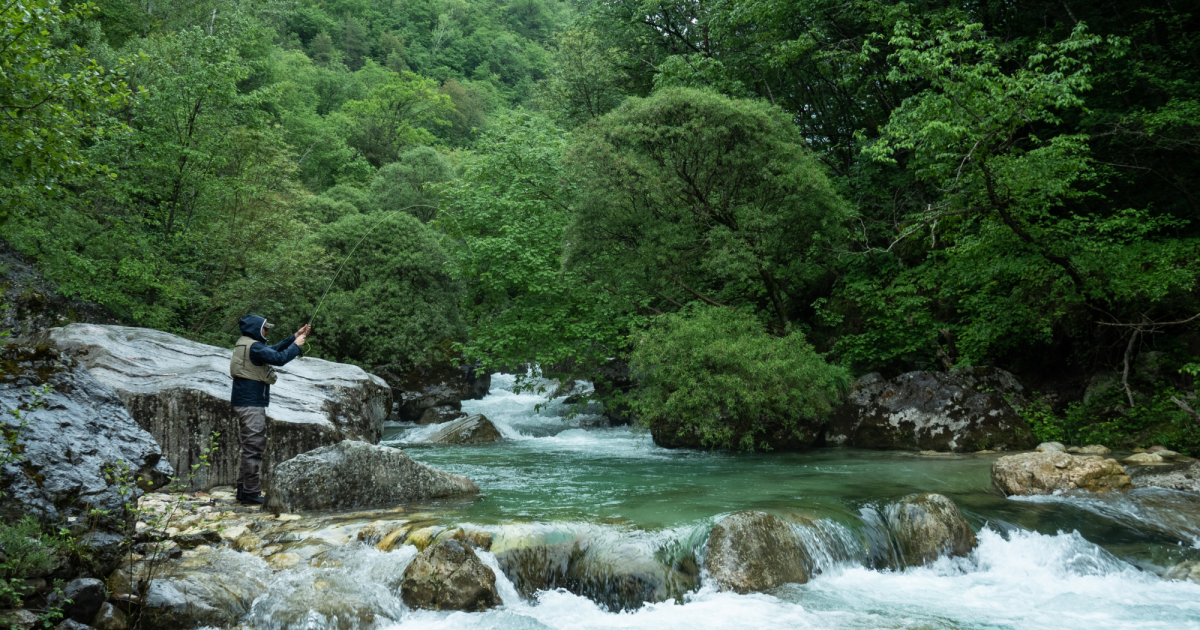 These Researchers Are Working to Quantify the Value of Nature – Mother Jones