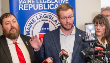 How common is MaineCare fraud?