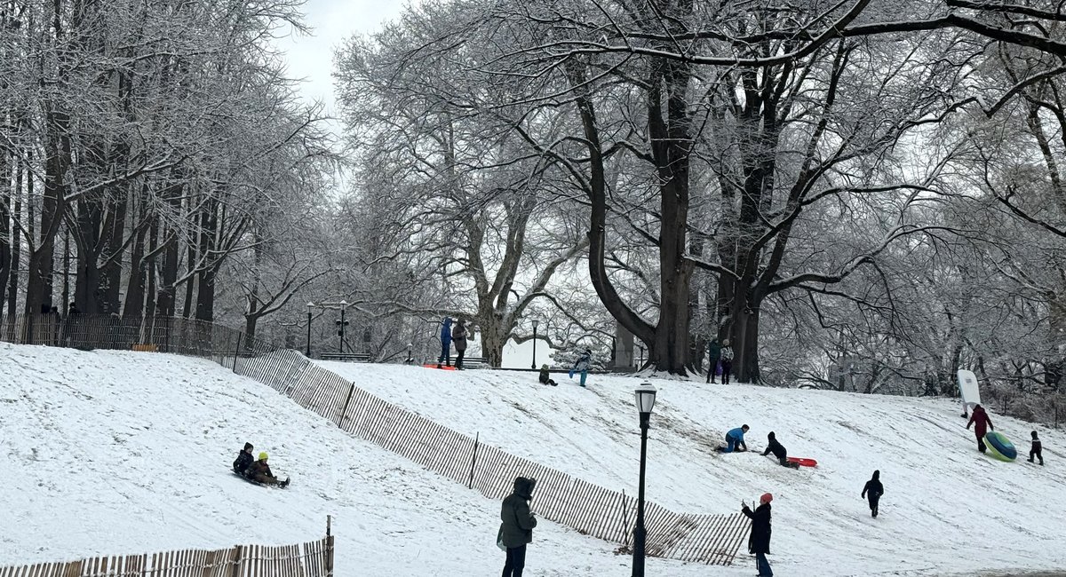 Light snow in NYC expected to usher in much more on Sunday
