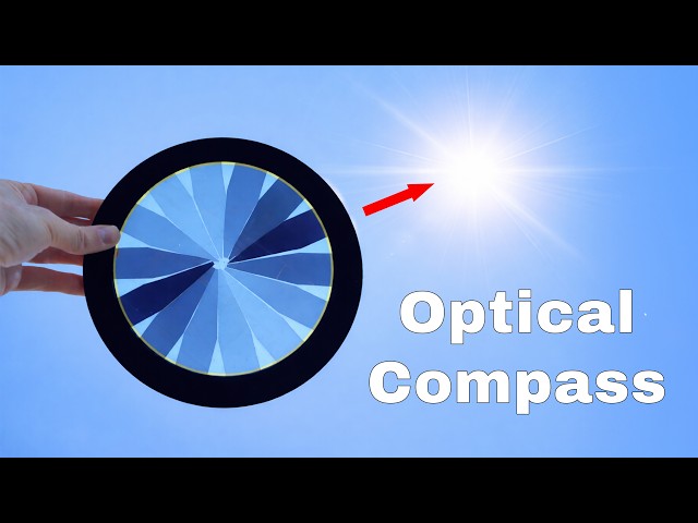 An Optical Compass Inspired by Bee Vision