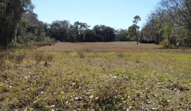 Commissioners consider future of the closed Winter Springs Golf Course 
