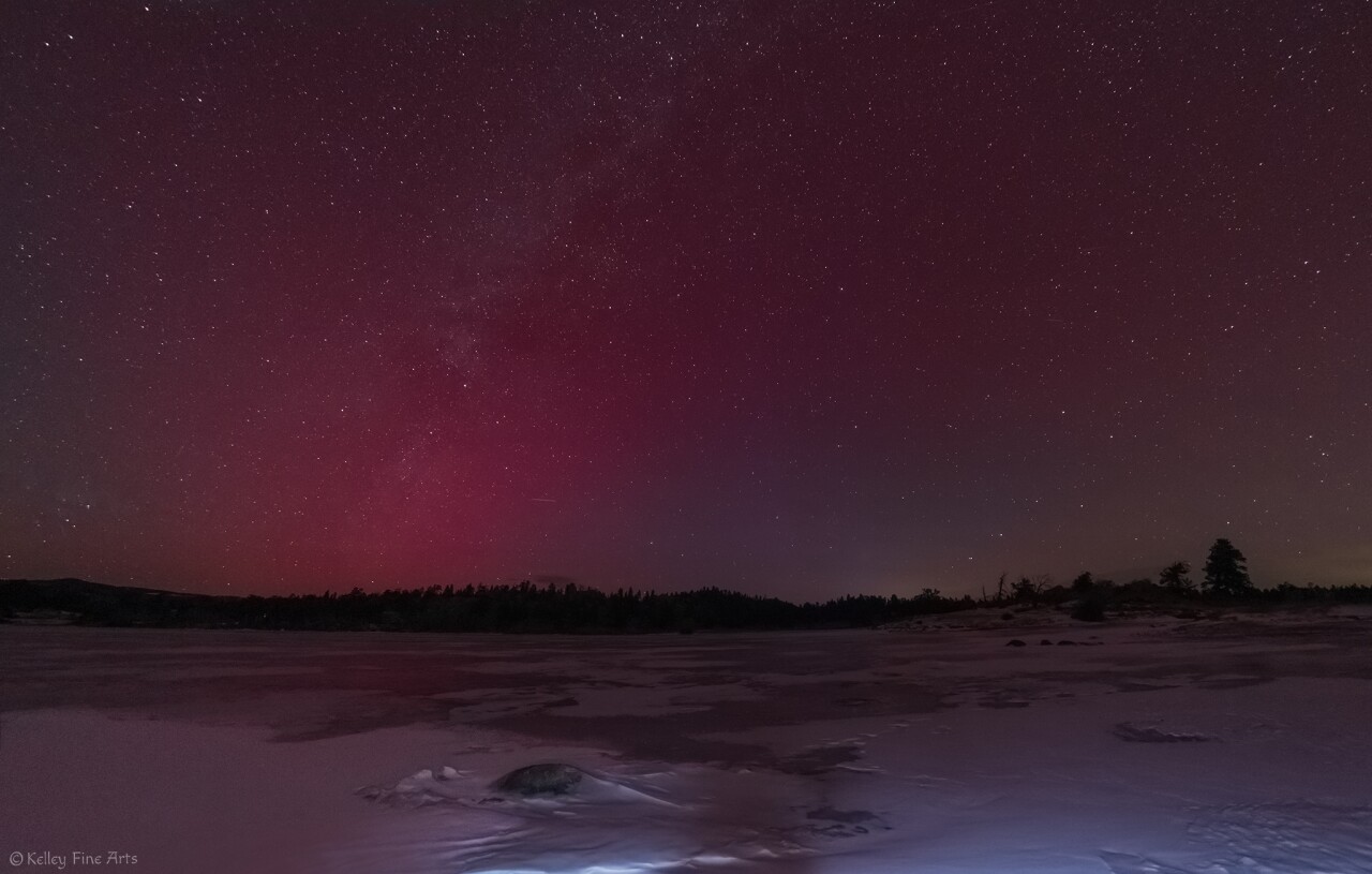 suzanne kelley 2.jpg