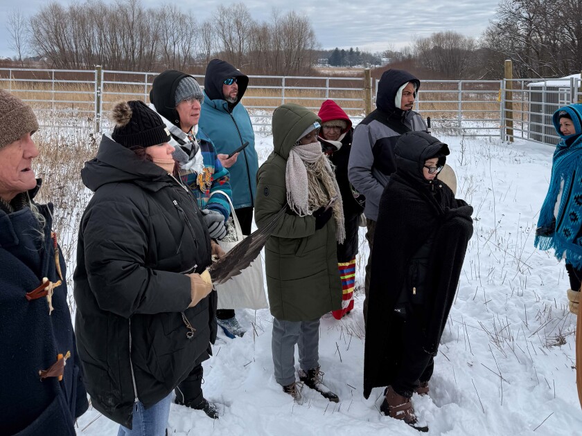 Community members and members of the American Indian Center gather at Burlington Prairie in Sycamore, Ill. for the arrival of bison, Friday, Dec. 5, 2025. 