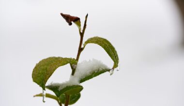 Ice storm final countdown: What you should do right now to prepare