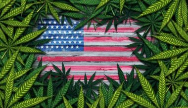 Where Is Cannabis Legal? A Guide To All 50 States