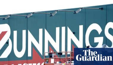 Bunnings accused of ‘greenwashing’ timber amid concerns about supplier’s illegal logging | New South Wales