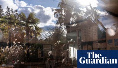 The Fukushima towns frozen in time: nature has thrived since the nuclear disaster but what happens if humans return? | Fukushima