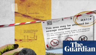 The 16-month battle to reveal the truth about Sydney Water’s poo balls | Sydney