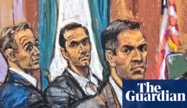 Brothers were predators masquerading as party boys, New York court hears | US crime