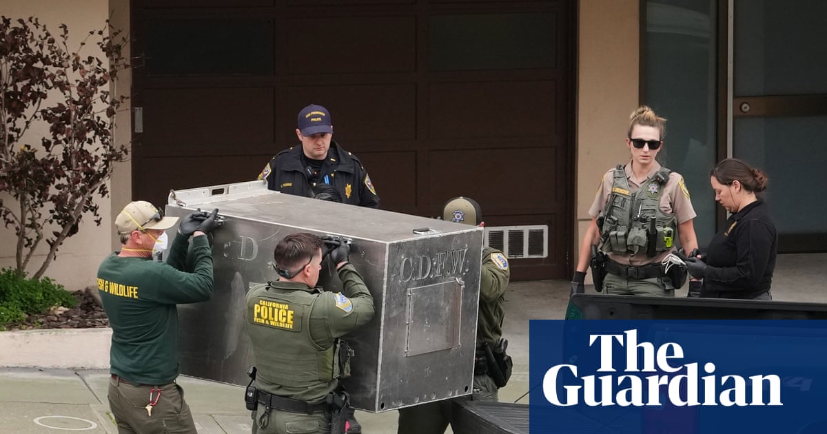 Mountain lion roaming San Francisco’s streets captured by wildlife officials | San Francisco