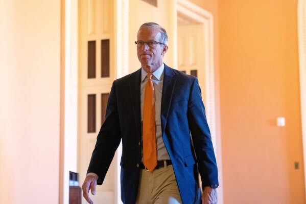 Senate Majority Leader John Thune, R-S.D., walks through the Capitol, Thursday, Jan. 15, 2026, in Washington. (AP Photo/Allison Robbert)