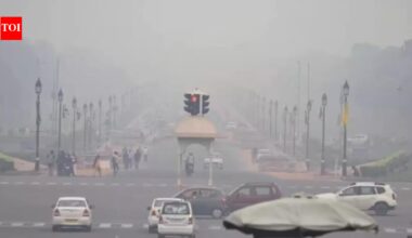 Delhi: When rain failed to wash away city’s pollution pain | Delhi News